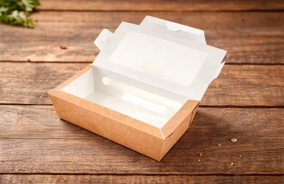 Ce alegem în 2026? Ambalaje de unică folosinţă cu “fereastră” sau transparente?